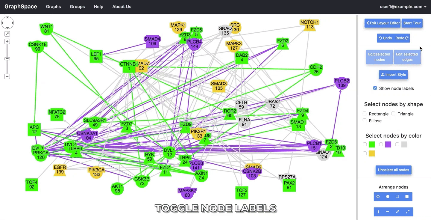 toggle node labels