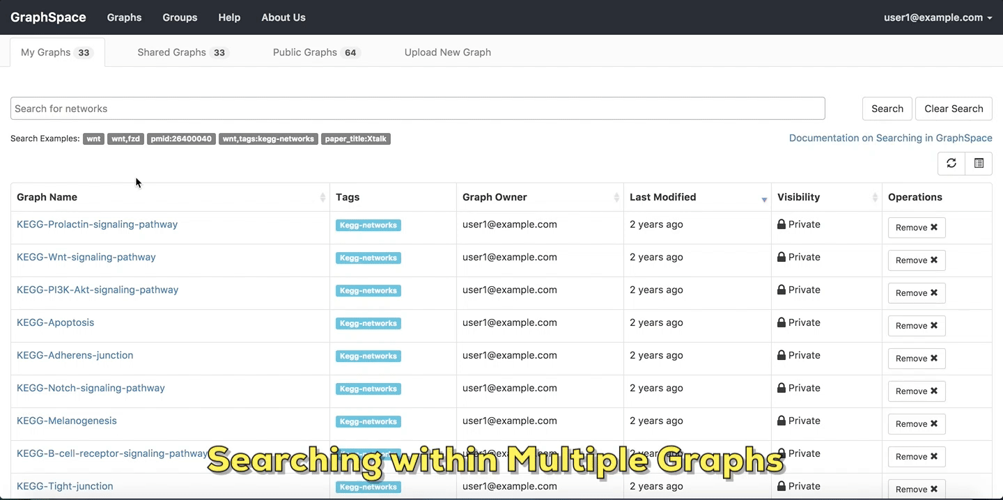 Searching within Multiple Graphs
